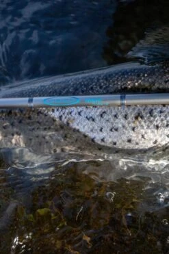 Vision Meri 4pc Fly Rod 11 Vision Meri 4pc Fly Rod -Fishing Specialty Store Vision Meri 4pc Fly Rod VRI49XXX photobyroberthansson 16 scaled 1