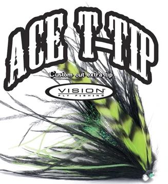 Vision Ace T-Tip 10ft 3 Vision Ace T-Tip 10ft