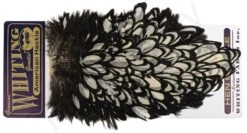 Whiting American Hen Saddle -Fishing Specialty Store Whiting American Hen Saddle WHIT AMHENSAD dsc02885 bewerkt