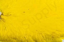 Whiting American Hen Saddle -Fishing Specialty Store Whiting American Hen Saddle WHIT AMHENSAD dsc028872