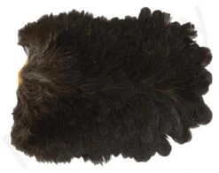 Whiting American Hen Saddle -Fishing Specialty Store Whiting American Hen Saddle WHIT AMHENSAD dsc03593 bewerkt