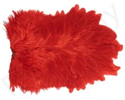 Whiting American Hen Saddle -Fishing Specialty Store Whiting American Hen Saddle WHIT AMHENSAD dsc03596 bewerkt