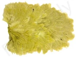 Whiting American Hen Saddle -Fishing Specialty Store Whiting American Hen Saddle WHIT AMHENSAD dsc03597 bewerkt