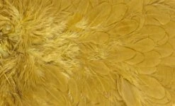 Whiting American Hen Saddle -Fishing Specialty Store Whiting American Hen Saddle WHIT AMHENSAD dsc03598 bewerkt 2