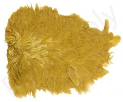 Whiting American Hen Saddle -Fishing Specialty Store Whiting American Hen Saddle WHIT AMHENSAD dsc03598 bewerkt