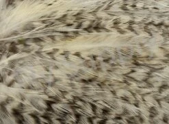 Whiting American Streamer Pack -Fishing Specialty Store Whiting American Streamer Pack WHITSTRPK X grizzly natural close