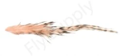 Whiting Bird Fur Feathers -Fishing Specialty Store Whiting Bird Fur Feathers WH61842 XXX dsc02531 bewerkt