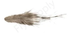 Whiting Bird Fur Feathers -Fishing Specialty Store Whiting Bird Fur Feathers WH61842 XXX dsc02533 bewerkt