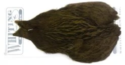 Whiting Brahma Hen Cape -Fishing Specialty Store Whiting Brama Hen Cape 32801 XXX dsc08243 bewerkt