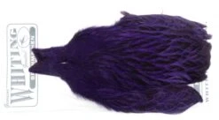 Whiting Brahma Hen Cape -Fishing Specialty Store Whiting Brama Hen Cape 32801 XXX dsc08253 bewerkt