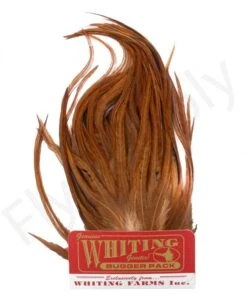 Whiting Bugger Pack 31 Whiting Bugger Pack -Fishing Specialty Store Whiting Bugger Pack WH91871 XXX dsc02554 bewerkt