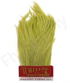 Whiting Bugger Pack 32 Whiting Bugger Pack -Fishing Specialty Store Whiting Bugger Pack WH91871 XXX dsc02557 bewerkt