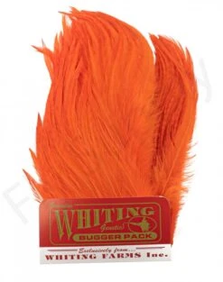 Whiting Bugger Pack 30 Whiting Bugger Pack -Fishing Specialty Store Whiting Bugger Pack WH91871 XXX dsc02558 bewer2kt