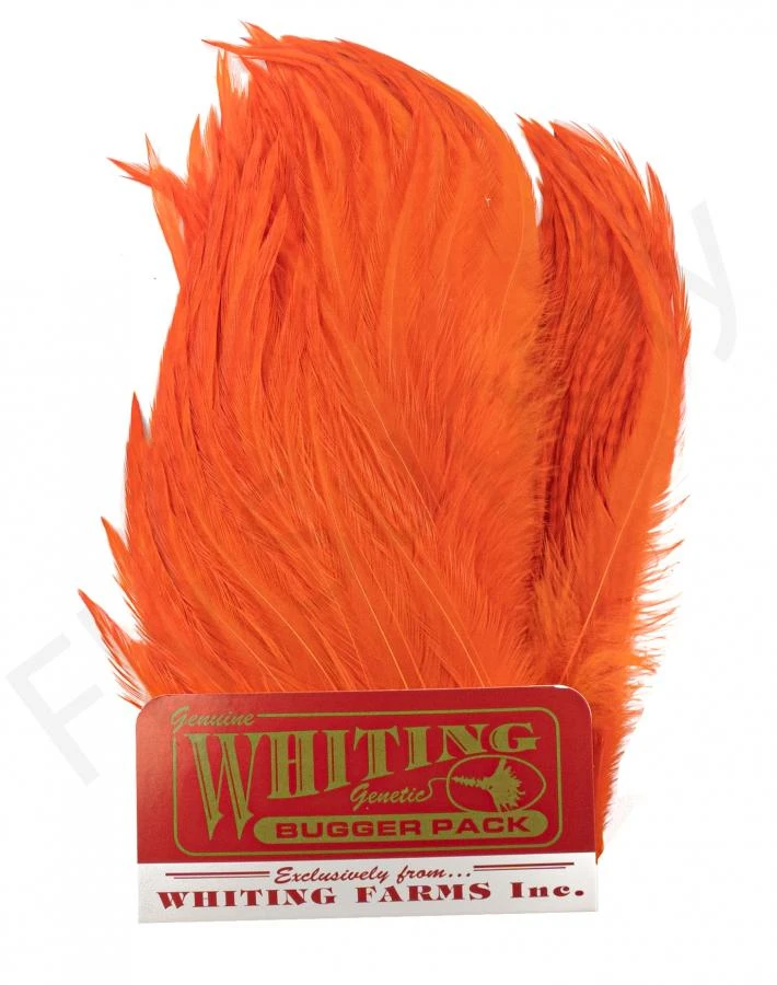 Whiting Bugger Pack 14 Whiting Bugger Pack - Image 12