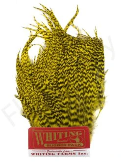 Whiting Bugger Pack 29 Whiting Bugger Pack -Fishing Specialty Store Whiting Bugger Pack WH91871 XXX dsc02560 bewerkt