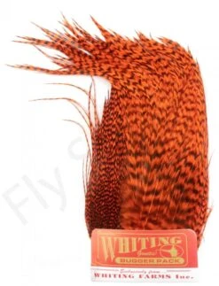 Whiting Bugger Pack 27 Whiting Bugger Pack -Fishing Specialty Store Whiting Bugger Pack WH91871 XXX dsc08081 bewerkt