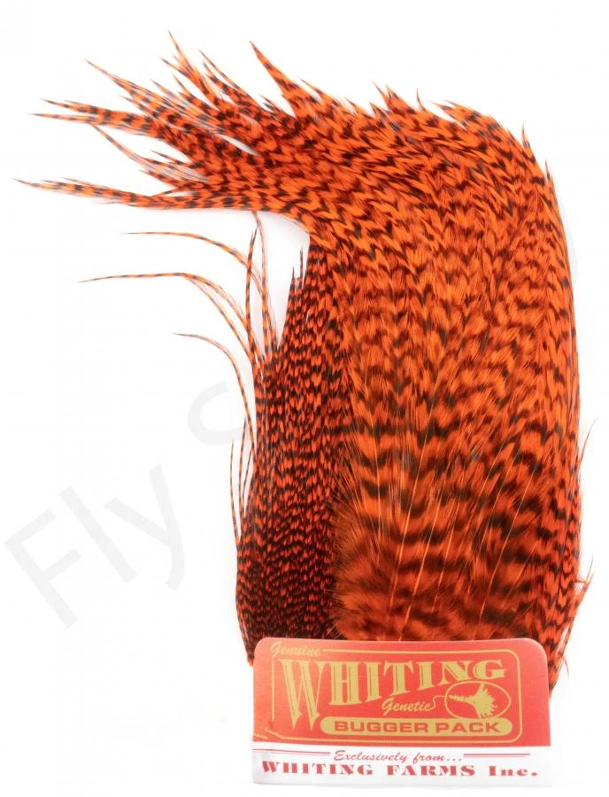 Whiting Bugger Pack 11 Whiting Bugger Pack - Image 9