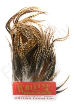 Whiting Bugger Pack 20 Whiting Bugger Pack -Fishing Specialty Store Whiting Bugger Pack WH91871 XXX dsc08085 bewerkt