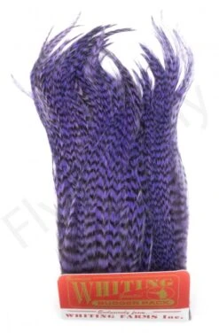 Whiting Bugger Pack 28 Whiting Bugger Pack -Fishing Specialty Store Whiting Bugger Pack WH91871 XXX dsc08090 bewerkt