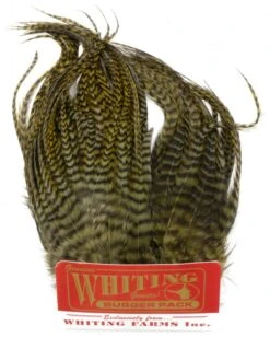 Whiting Bugger Pack 24 Whiting Bugger Pack -Fishing Specialty Store Whiting Bugger Pack WH91871 XXX dsc09125 bewerkt