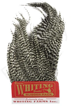 Whiting Bugger Pack 26 Whiting Bugger Pack -Fishing Specialty Store Whiting Bugger Pack WH91871 XXX whiting bugger pack wh91871 xxx dsc02559 bewerkt