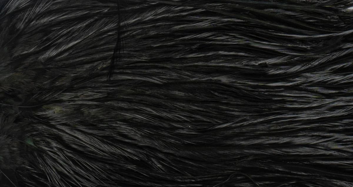 Whiting Coq De Leon Saddle Silver 7 Whiting Coq De Leon Saddle Silver - Image 5