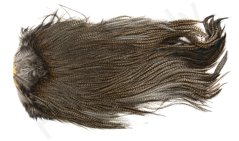 Whiting Coq De Leon Saddle Silver 10 Whiting Coq De Leon Saddle Silver - Image 8