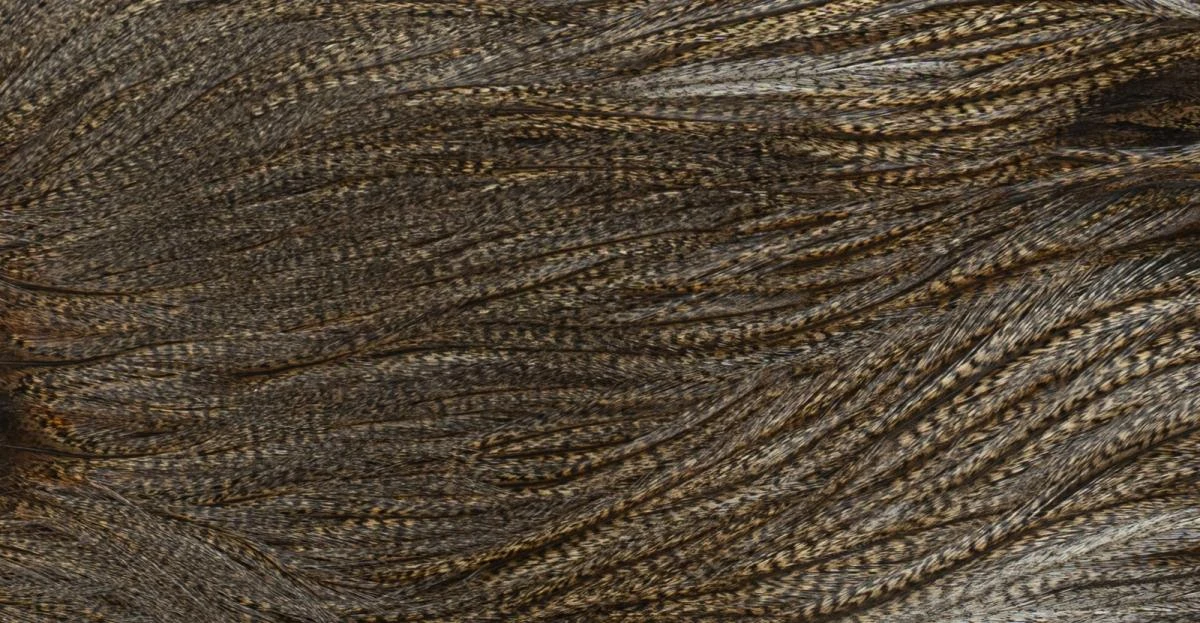 Whiting Coq De Leon Saddle Silver 11 Whiting Coq De Leon Saddle Silver - Image 9