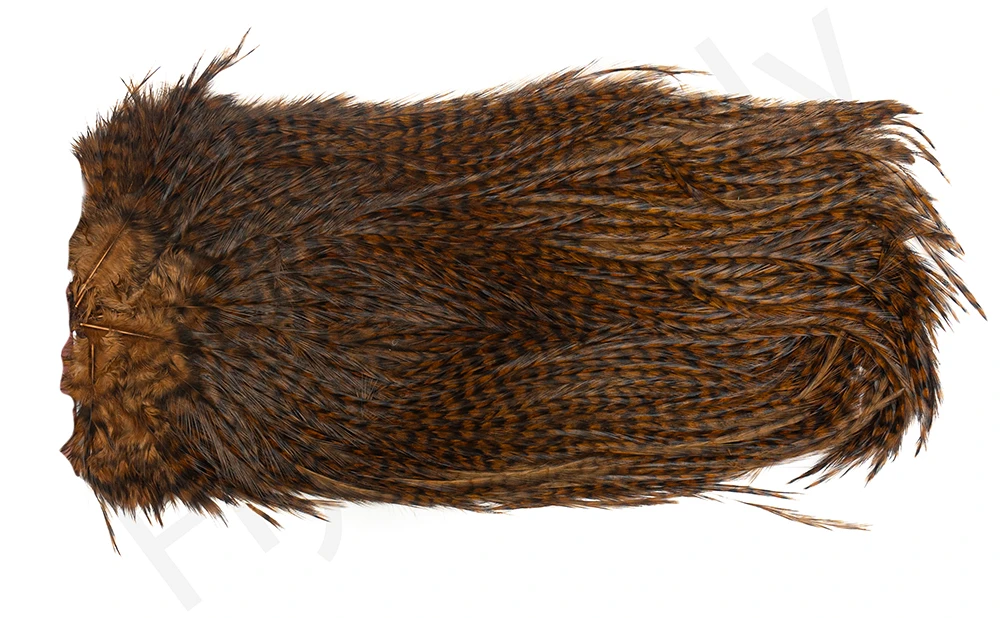 Whiting Coq De Leon Saddle Silver 14 Whiting Coq De Leon Saddle Silver - Image 12