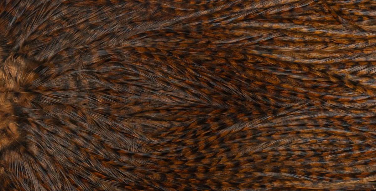 Whiting Coq De Leon Saddle Silver 13 Whiting Coq De Leon Saddle Silver - Image 11