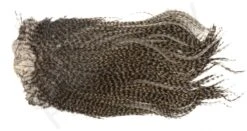 Whiting Coq De Leon Saddle Silver 31 Whiting Coq De Leon Saddle Silver -Fishing Specialty Store Whiting Coq De Leon Saddle Silver WHIT COQSADDLESIL X dsc00946 kopie bewerkt