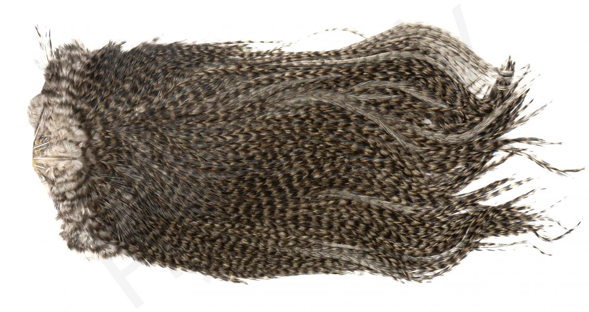 Whiting Coq De Leon Saddle Silver 12 Whiting Coq De Leon Saddle Silver - Image 10