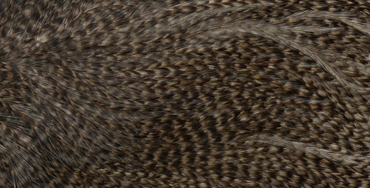 Whiting Coq De Leon Saddle Silver 15 Whiting Coq De Leon Saddle Silver - Image 13