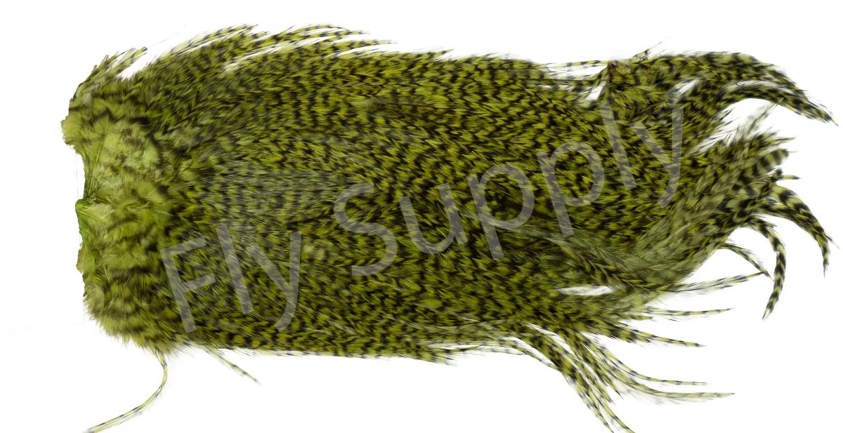 Whiting Coq De Leon Saddle Silver 16 Whiting Coq De Leon Saddle Silver - Image 14