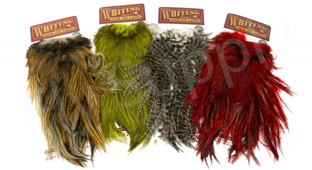 Whiting Coq De Leon Saddle Silver 3 Whiting Coq De Leon Saddle Silver