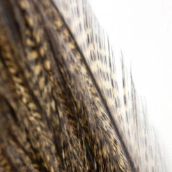 Whiting Coq De Leon Euro Nymph Tailing Pack -Fishing Specialty Store Whiting Coq de Leon Euro Nymph Tailing Pack WHIT CDLNYTAILPACK XXX img 6245 1