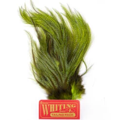 Whiting Coq De Leon Euro Nymph Tailing Pack -Fishing Specialty Store Whiting Coq de Leon Euro Nymph Tailing Pack WHIT CDLNYTAILPACK XXX img 6246 1