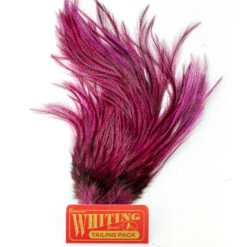 Whiting Coq De Leon Euro Nymph Tailing Pack -Fishing Specialty Store Whiting Coq de Leon Euro Nymph Tailing Pack WHIT CDLNYTAILPACK XXX img 6249 1