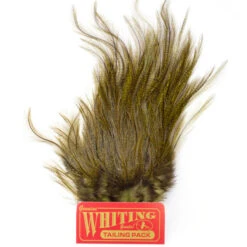 Whiting Coq De Leon Euro Nymph Tailing Pack -Fishing Specialty Store Whiting Coq de Leon Euro Nymph Tailing Pack WHIT CDLNYTAILPACK XXX img 6252 1