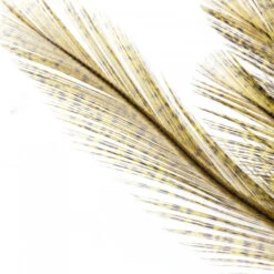 Whiting Coq De Leon Euro Nymph Tailing Pack -Fishing Specialty Store Whiting Coq de Leon Euro Nymph Tailing Pack WHIT CDLNYTAILPACK XXX img 6254 1