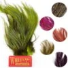 Whiting Coq De Leon Euro Nymph Tailing Pack -Fishing Specialty Store Whiting Coq de Leon Euro Nymph Tailing Pack WHIT CDLNYTAILPACK XXX whiting cdl euro nymph hackle 1