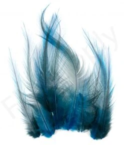 Whiting Coq De Leon Feathers 12 Pc Select -Fishing Specialty Store Whiting Coq de Leon Feathers 12 pc Select COQDL X dsc03264