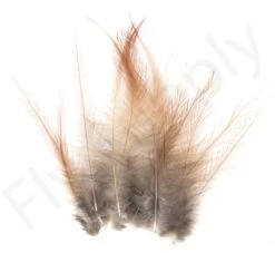 Whiting Coq De Leon Feathers 12 Pc Select -Fishing Specialty Store Whiting Coq de Leon Feathers 12 pc Select COQDL X dsc03267