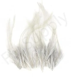 Whiting Coq De Leon Feathers 12 Pc Select -Fishing Specialty Store Whiting Coq de Leon Feathers 12 pc Select COQDL X dsc08404 bewerkt