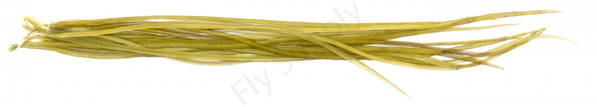 Whiting Dry Fly Saddle Feather Pack 18pc 14 Whiting Dry Fly Saddle Feather Pack 18pc - Image 12