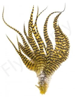 Whiting Grizzly Schlappen Feathers Long -Fishing Specialty Store Whiting Grizzly Schlappen Feathers Long WHIT SCHLAPBUND grizzly golden