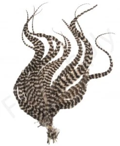 Whiting Grizzly Schlappen Feathers Long -Fishing Specialty Store Whiting Grizzly Schlappen Feathers Long WHIT SCHLAPBUND grizzly tan