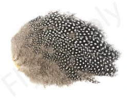 Whiting Guinea Fowl Breast 9 Whiting Guinea Fowl Breast -Fishing Specialty Store Whiting Guinea Fowl Breast WH28833 XXX dsc09903 bewerkt