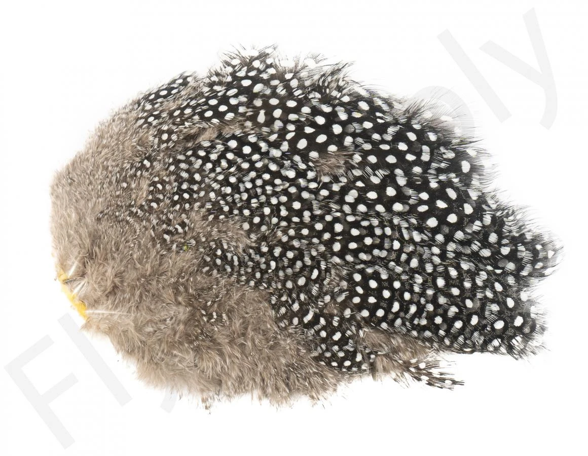 Whiting Guinea Fowl Breast 6 Whiting Guinea Fowl Breast - Image 4