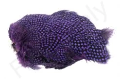 Whiting Guinea Fowl Breast 8 Whiting Guinea Fowl Breast -Fishing Specialty Store Whiting Guinea Fowl Breast WH28833 XXX dsc09904